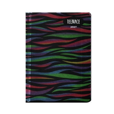 DIARIO AGENDA POCKET DATATO 12 MESI TEENACE MULTICOLOR 2026/2027