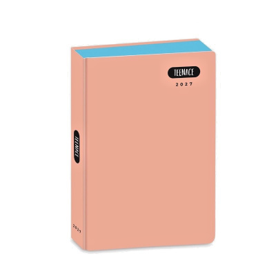 DIARIO AGENDA POCKET 12 MESI 2026/2027 PASTELLO TEENACE ARANCIONE